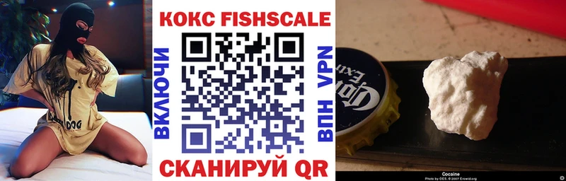 COCAIN Fish Scale  купить наркоту  Прохладный 