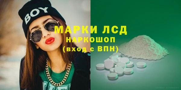 ГАЛЛЮЦИНОГЕННЫЕ ГРИБЫ Пестово