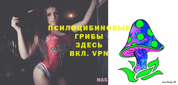 не бодяженный Пересвет