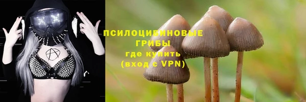 твердый Покровск