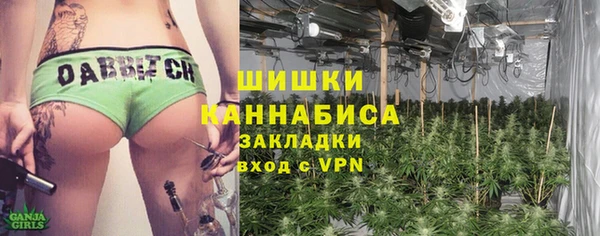 молекула духа Покачи