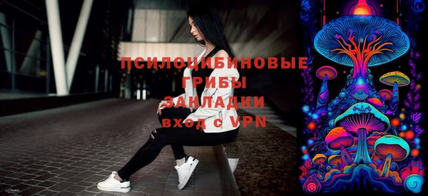 молекула духа Покачи
