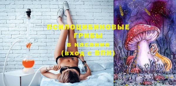 твердый Покровск