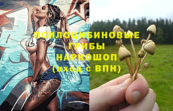 твердый Покровск