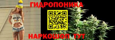 МДПВ Ипатово