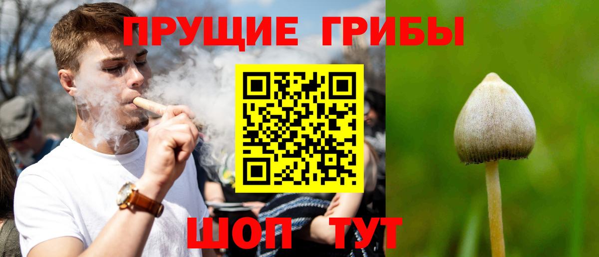 Галлюциногенные грибы Psilocybe  Прохладный  Псилоцибиновые грибы ЛСД 