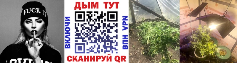 Конопля Amnesia  blacksprut зеркало  Прохладный  хочу наркоту 